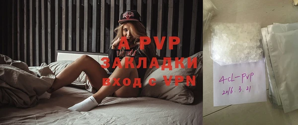 ПСИЛОЦИБИНОВЫЕ ГРИБЫ Пересвет