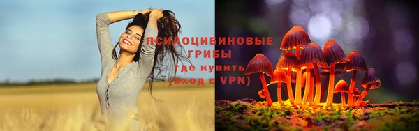 ПСИЛОЦИБИНОВЫЕ ГРИБЫ Пересвет