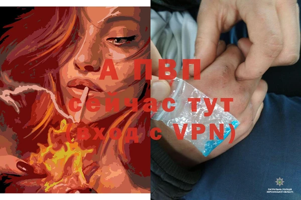 jwh Осинники