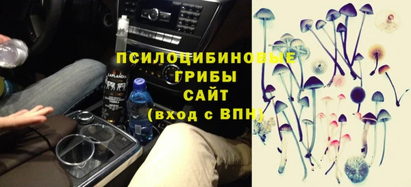 соль ск Пестово